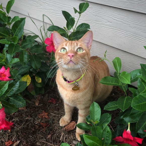 Meet your Posher, Patricia - Picture 7 of 8